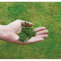 Einhell Benzin-Rasenmäher GC-PM 51/3 S HW-E 19 Einhell Benzin-Rasenmäher GC-PM 51/3 S HW-E -Gartengeräte Geschäft 171 340487 2171 8073710 08