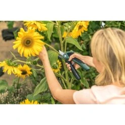 Bosch Akku-Gartenschere EasyPrune -Gartengeräte Geschäft 2610319 3058 08