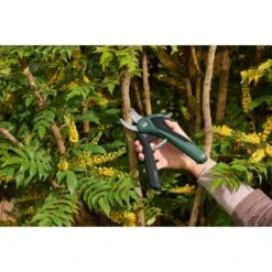 Bosch Akku-Gartenschere EasyPrune -Gartengeräte Geschäft 2610319 3058 10