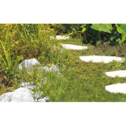 Einhell Akku-Gras- Und Strauchschere GC-CG 3,6 Li 18 Einhell Akku-Gras- Und Strauchschere GC-CG 3,6 Li -Gartengeräte Geschäft 508839 2171 7