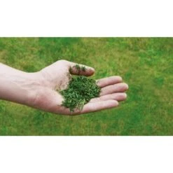 Einhell Benzin-Rasenmäher GC-PM 52/2 S HW -Gartengeräte Geschäft 807319 2171 340485 2171 08